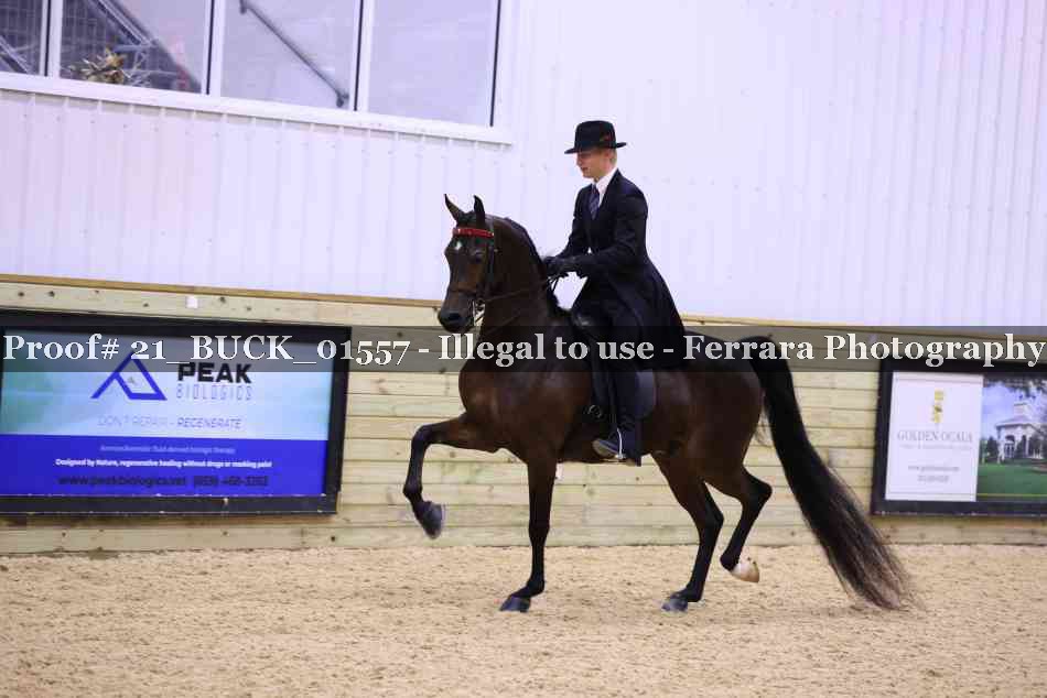 Proof 21_BUCK_01557