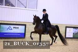 21_BUCK_01557 proof