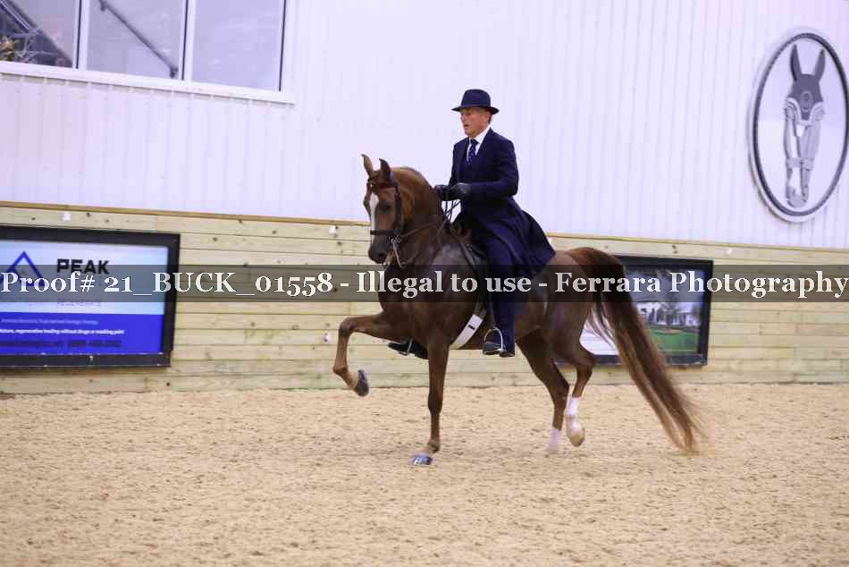 Proof 21_BUCK_01558