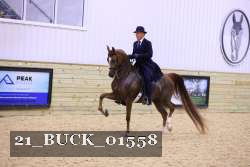 21_BUCK_01558 proof