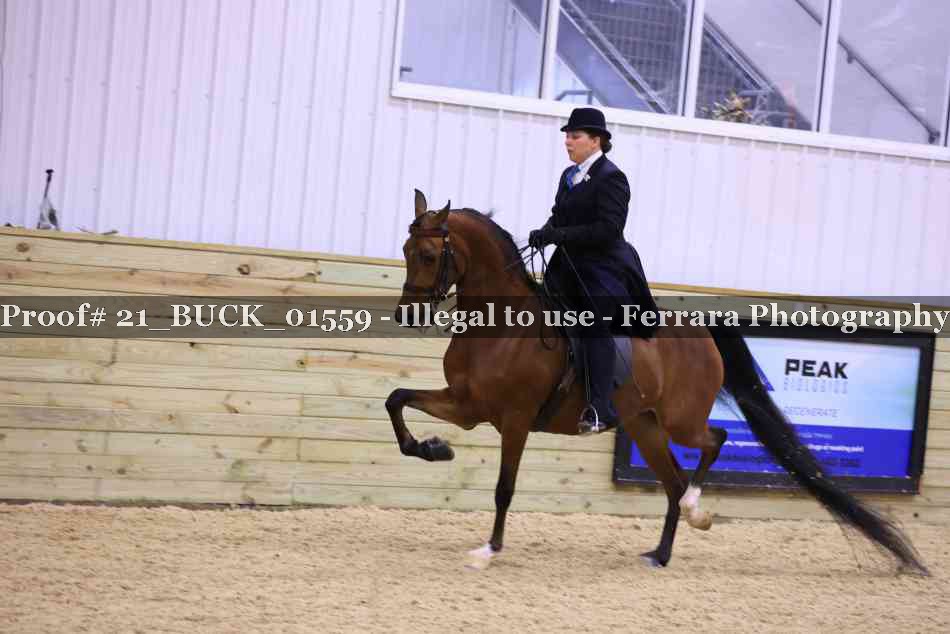 Proof 21_BUCK_01559