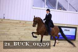 21_BUCK_01559 proof