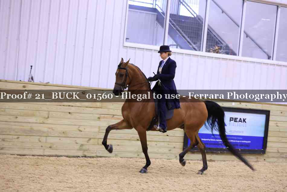 Proof 21_BUCK_01560