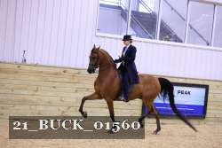 21_BUCK_01560 proof