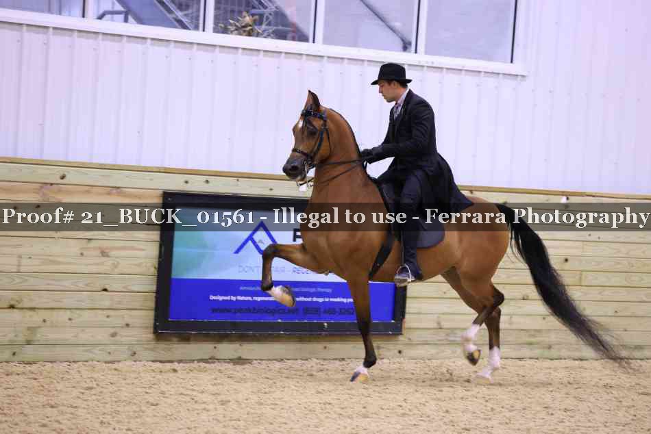 Proof 21_BUCK_01561