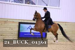21_BUCK_01561 proof