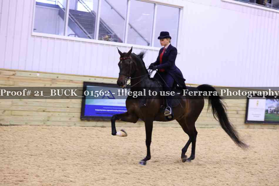 Proof 21_BUCK_01562