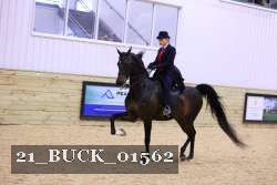 21_BUCK_01562 proof