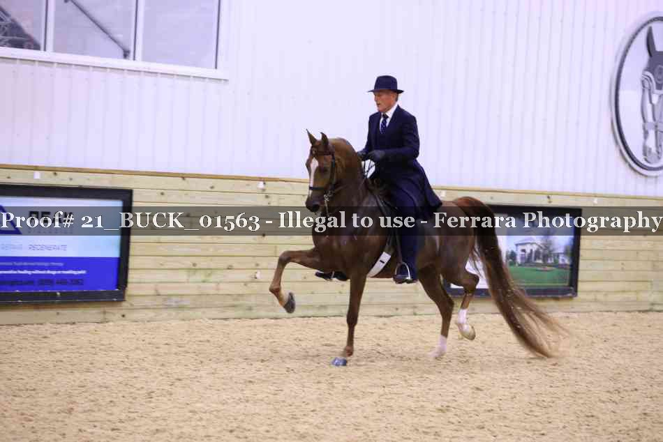 Proof 21_BUCK_01563