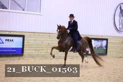 21_BUCK_01563 proof