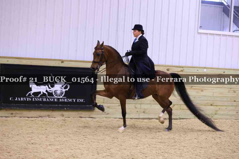 Proof 21_BUCK_01564