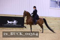 21_BUCK_01564 proof