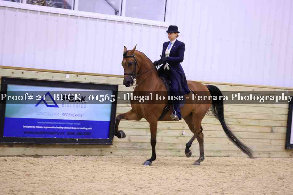 Proof 21_BUCK_01565