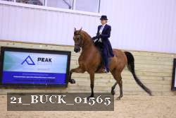 21_BUCK_01565 proof