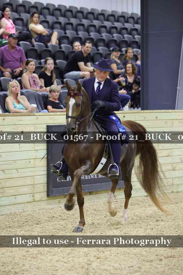 Proof 21_BUCK_01567