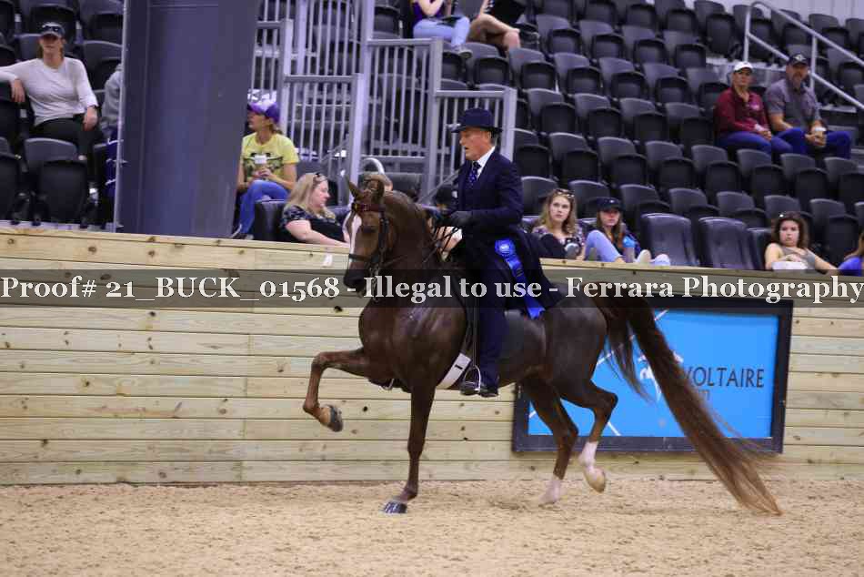 Proof 21_BUCK_01568