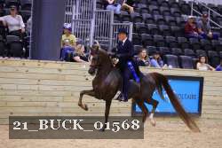 21_BUCK_01568 proof