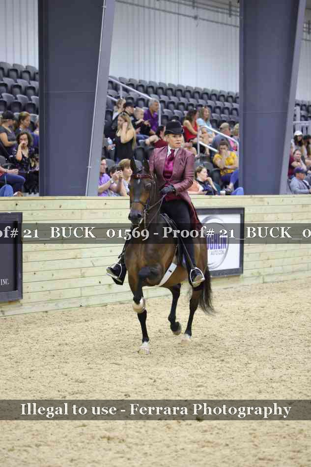 Proof 21_BUCK_01569