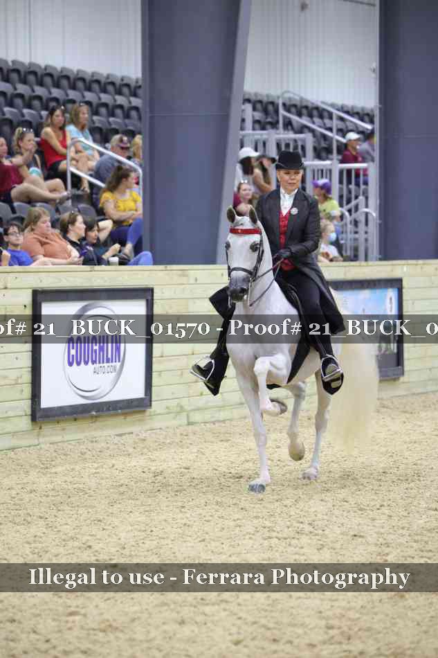 Proof 21_BUCK_01570