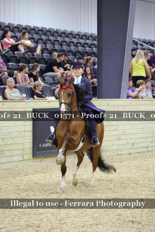 Proof 21_BUCK_01571