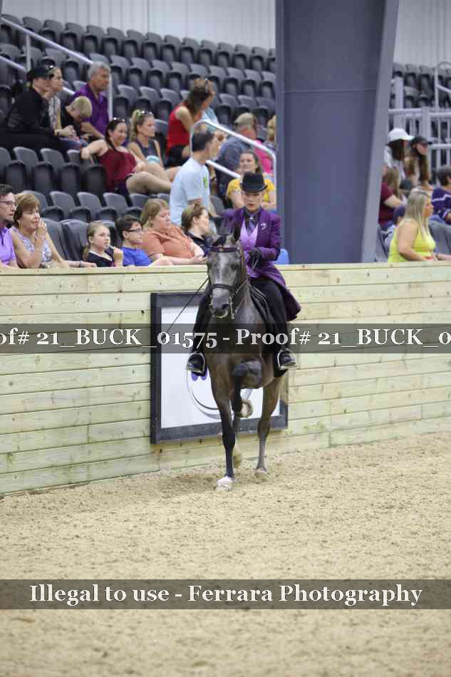 Proof 21_BUCK_01575