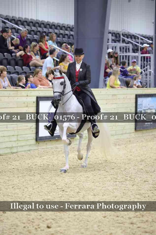 Proof 21_BUCK_01576