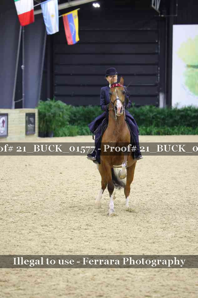 Proof 21_BUCK_01577