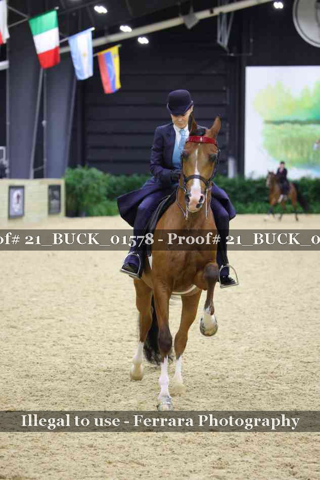 Proof 21_BUCK_01578