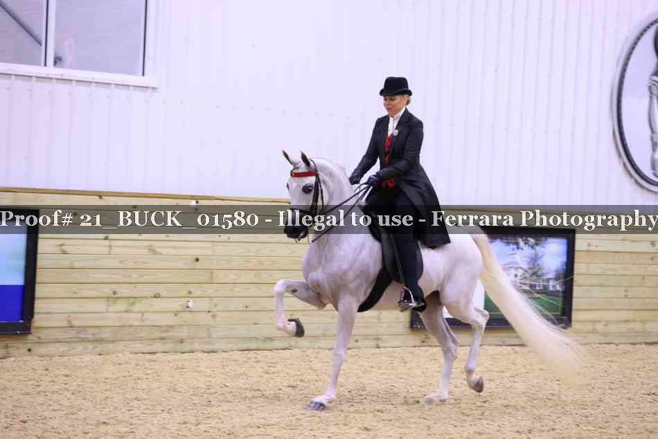 Proof 21_BUCK_01580