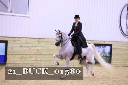 21_BUCK_01580 proof