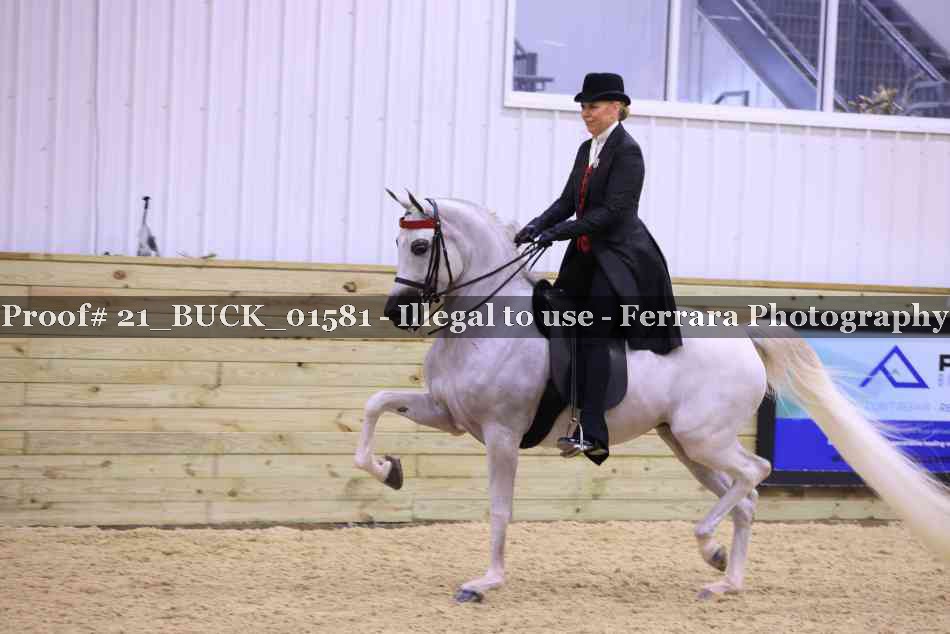 Proof 21_BUCK_01581