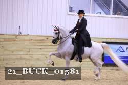 21_BUCK_01581 proof