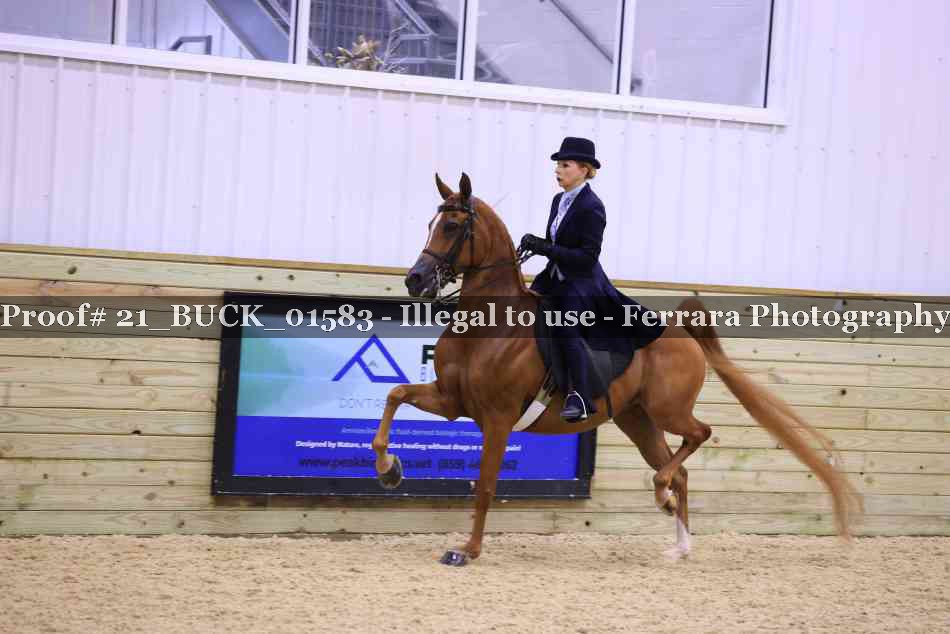 Proof 21_BUCK_01583