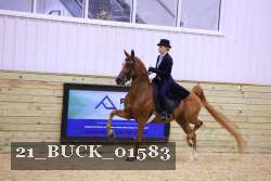 21_BUCK_01583 proof