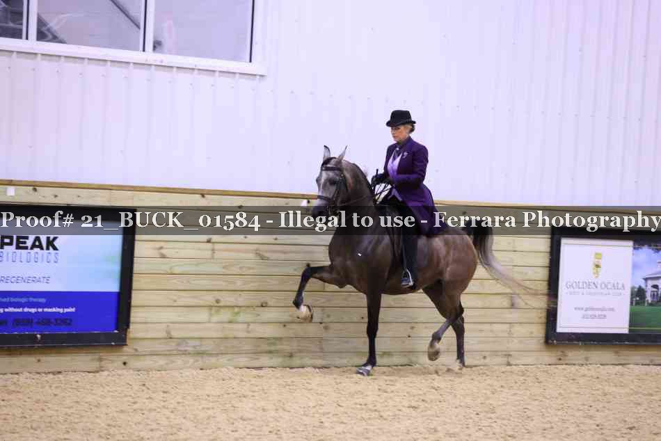 Proof 21_BUCK_01584