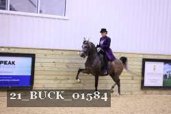 21_BUCK_01584 proof