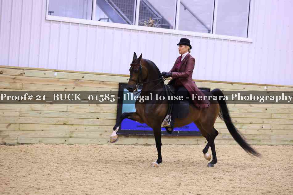 Proof 21_BUCK_01585