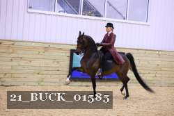 21_BUCK_01585 proof