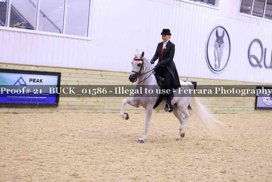 Proof 21_BUCK_01586