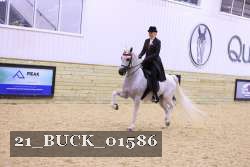 21_BUCK_01586 proof
