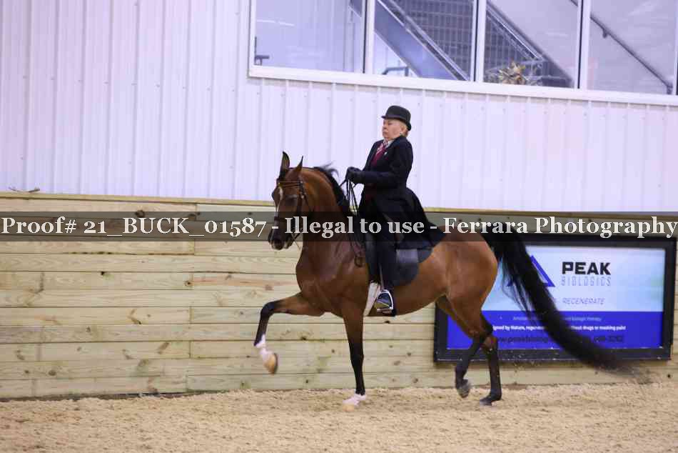 Proof 21_BUCK_01587