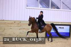 21_BUCK_01587 proof