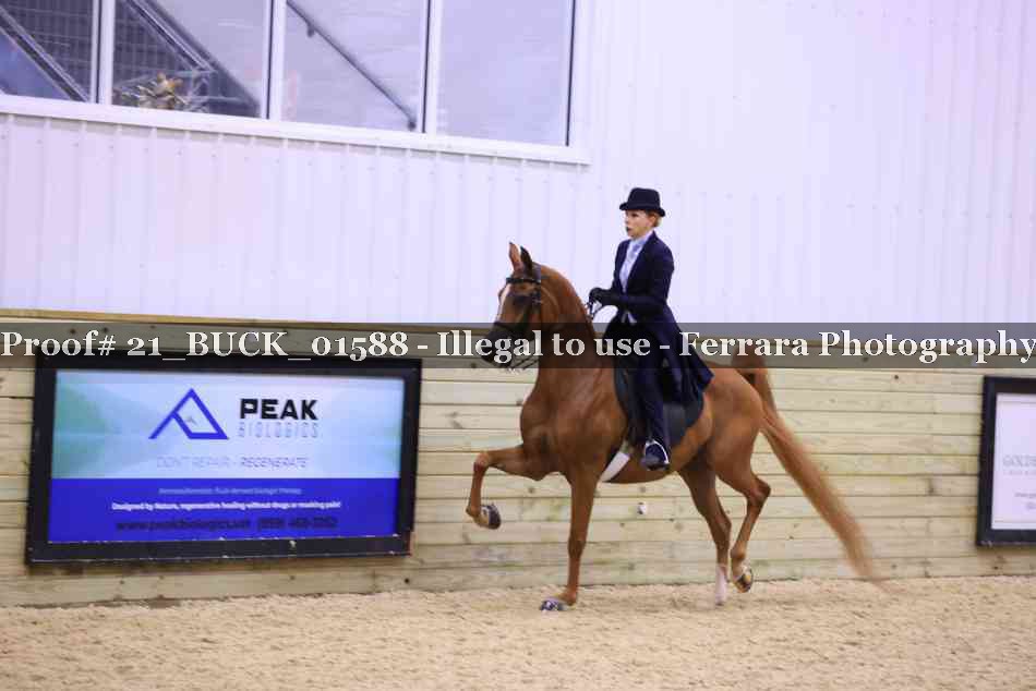 Proof 21_BUCK_01588
