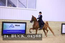 21_BUCK_01588 proof