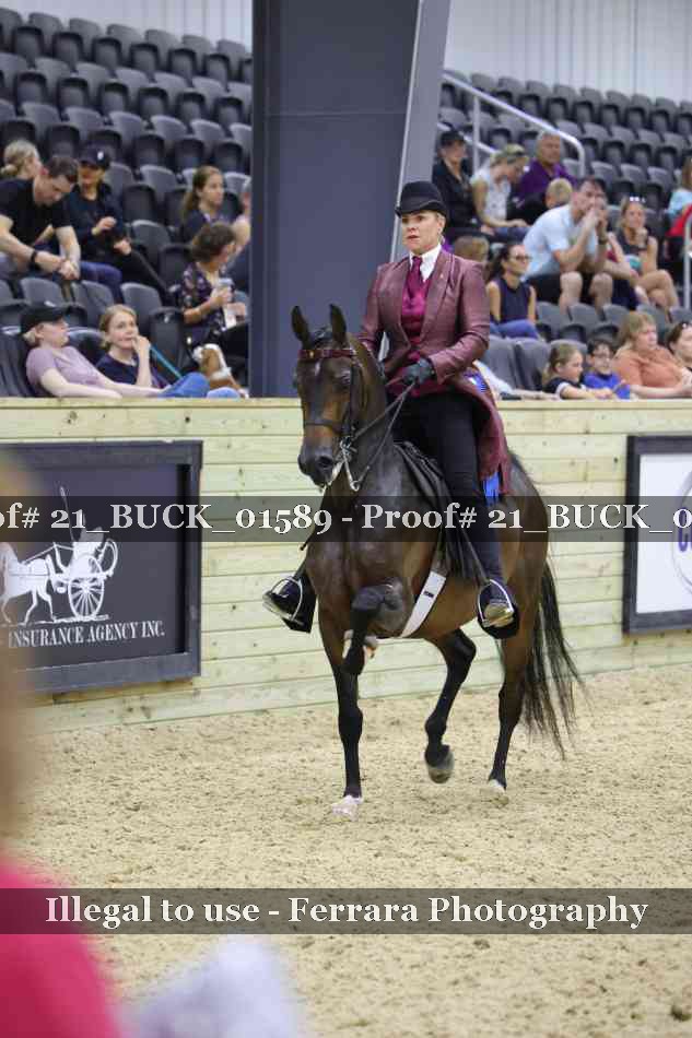 Proof 21_BUCK_01589