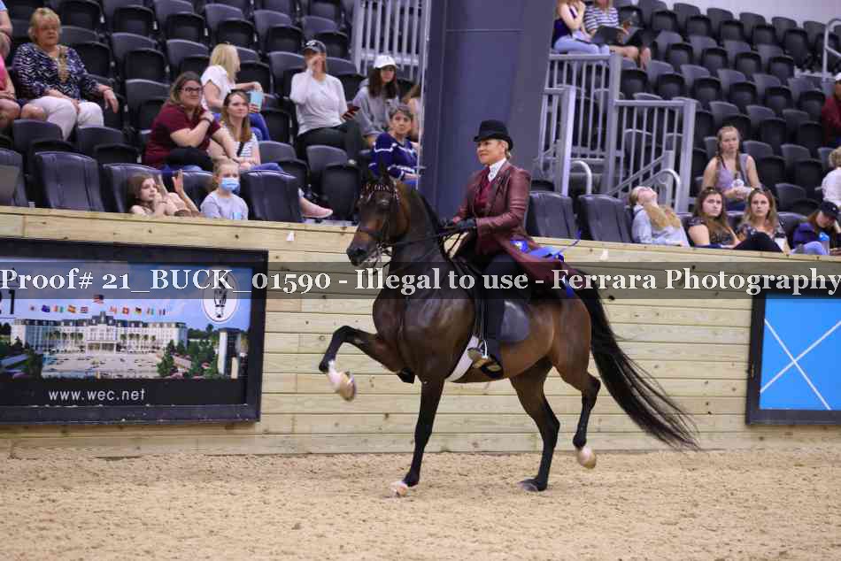 Proof 21_BUCK_01590