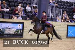 21_BUCK_01590 proof