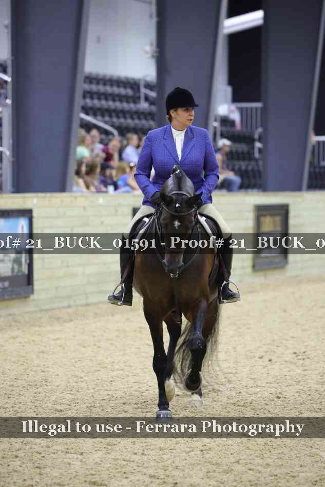 Proof 21_BUCK_01591