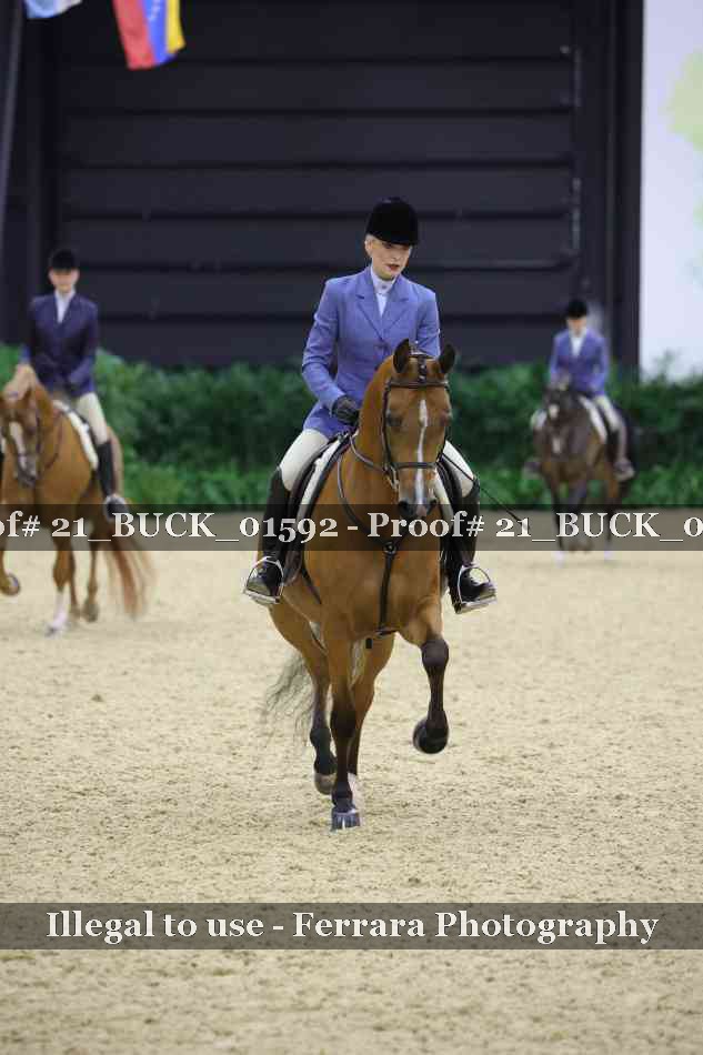 Proof 21_BUCK_01592