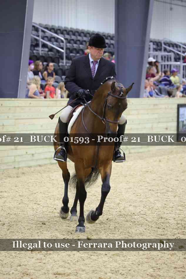 Proof 21_BUCK_01593